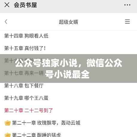 公众号独家小说,微信公众号小说最全