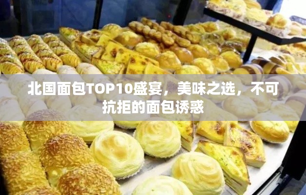 北国面包TOP10盛宴,美味之选,不可抗拒的面包诱惑