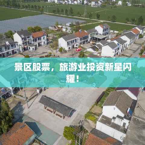 寥若晨星 第3页