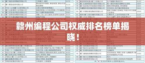 赣州编程公司权威排名榜单揭晓！