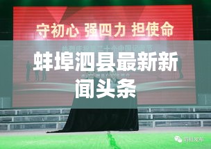 别出新意 第3页