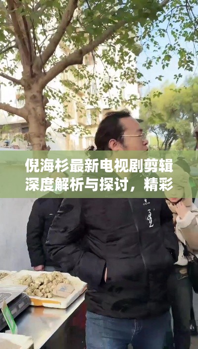 倪海杉最新电视剧剪辑深度解析与探讨,精彩剧情一网打尽!