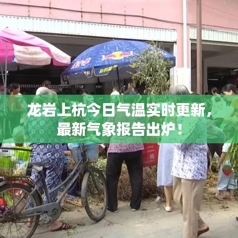 龙岩上杭今日气温实时更新,最新气象报告出炉!