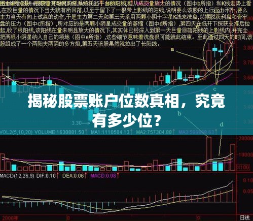 雅人清致 第2页