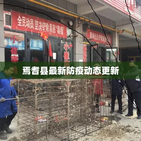 焉耆县最新防疫动态更新