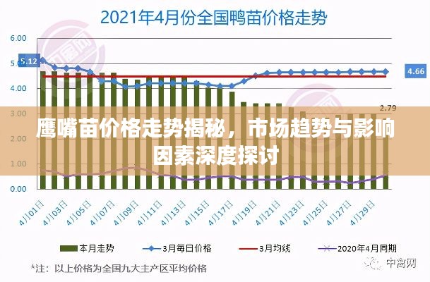鹰嘴苗价格走势揭秘,市场趋势与影响因素深度探讨