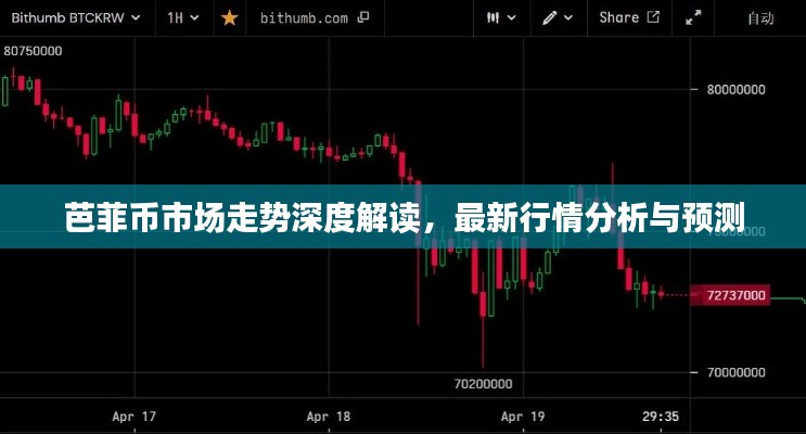 芭菲币市场走势深度解读,最新行情分析与预测