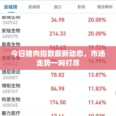 今日猪肉指数最新动态,市场走势一网打尽