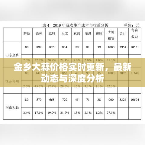 金乡大蒜价格实时更新,最新动态与深度分析