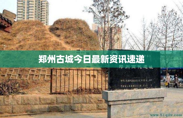 郑州古城今日最新资讯速递