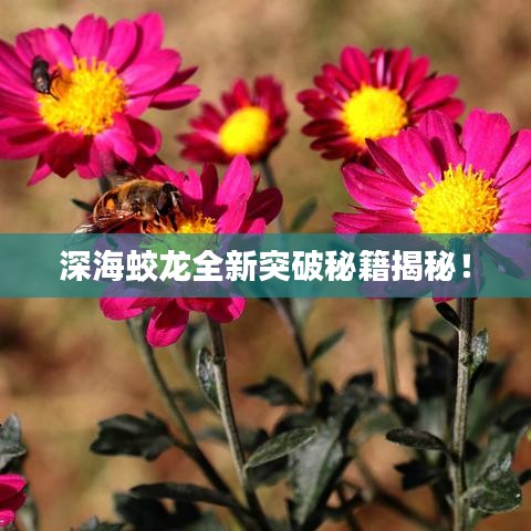 深海蛟龙全新突破秘籍揭秘!