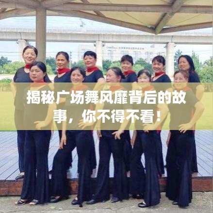 越鸟南栖 第2页