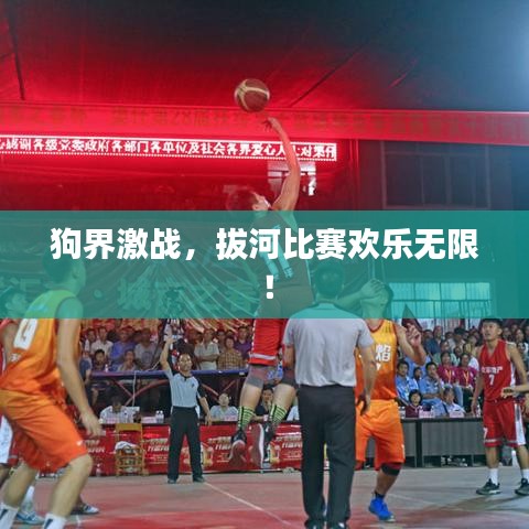 狗界激战,拔河比赛欢乐无限!