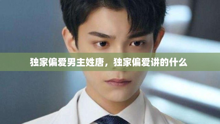 张弛不定 第2页