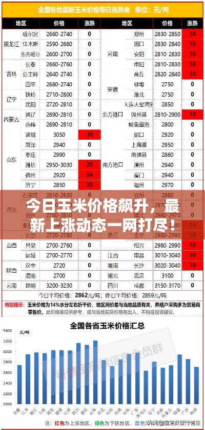 今日玉米价格飙升,最新上涨动态一网打尽!