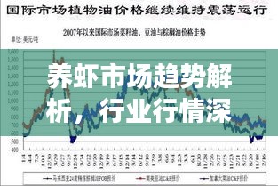 养虾市场趋势解析,行业行情深度剖析