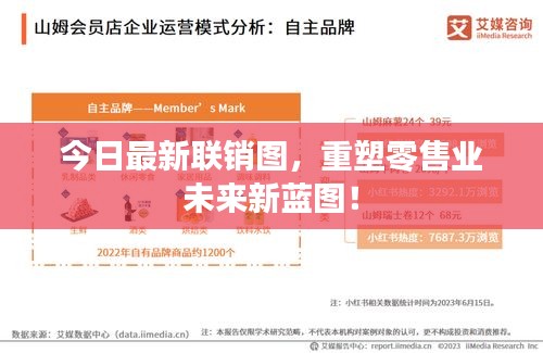 今日最新联销图,重塑零售业未来新蓝图!