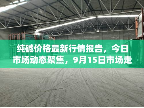 纯碱价格最新行情报告，今日市场动态聚焦，9月15日市场走势分析