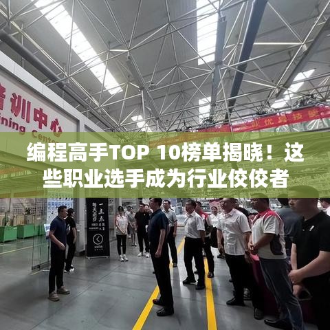 编程高手TOP 10榜单揭晓!这些职业选手成为行业佼佼者
