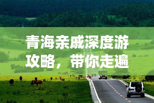 青海亲戚深度游攻略,带你走遍美景,体验独特文化之旅!