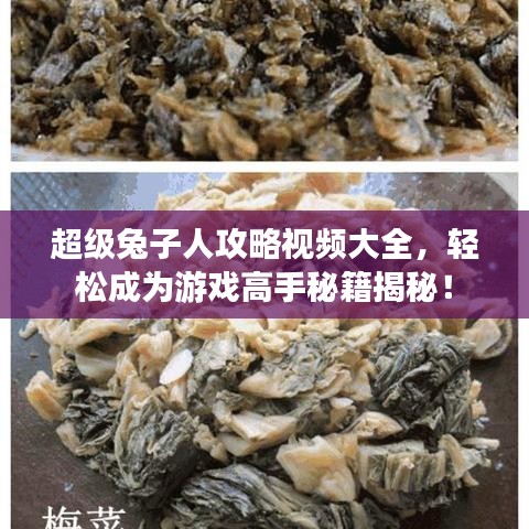 超级兔子人攻略视频大全,轻松成为游戏高手秘籍揭秘!